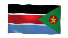 الحركة الشعبية لتحرير السودان - شمال